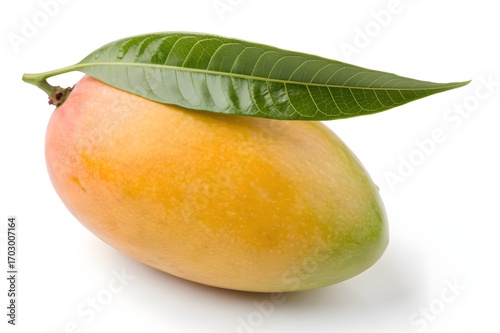 Ripe Mango on White Background
