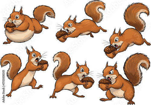 Funny cartoon squirrels with big tails holding acorns in different poses, animal character illustration for forest, wildlife, or nature designs
