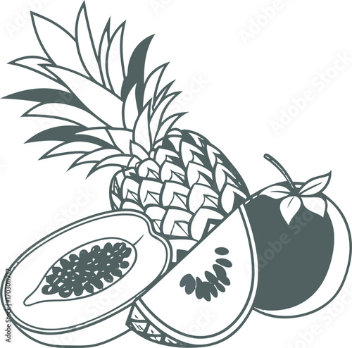 Hand drawn tropical fruits illustration