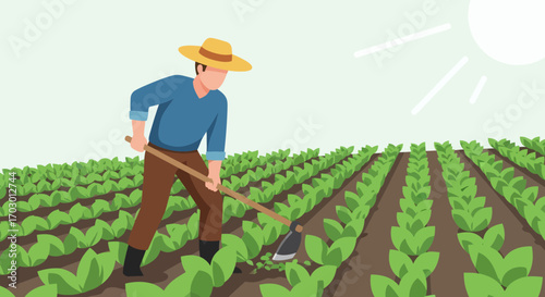 Male farmer in a straw hat hoes a field of neatly arranged green crops under a bright sun