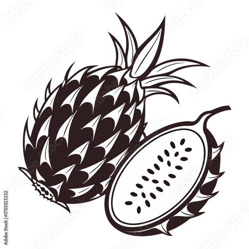Monochrome dragon fruit whole and half