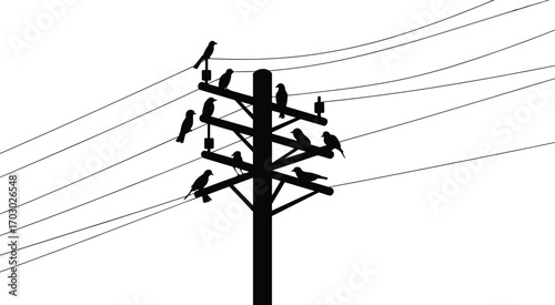 Birds on power lines silhouette, electric pole with perched birds, rural energy post, wildlife on utility cables, vector illustration
