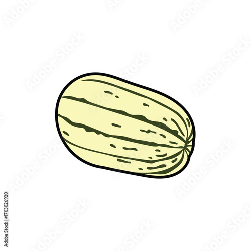 Squash fruit