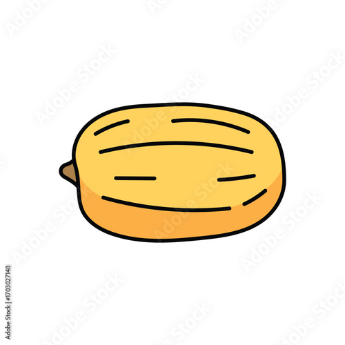 Squash fruit