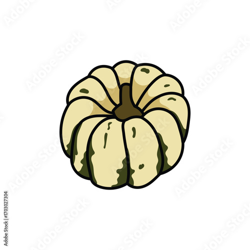 Squash fruit