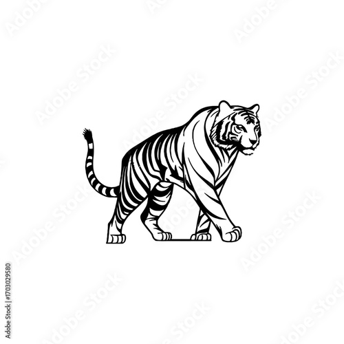 vectors of tiger animals walking