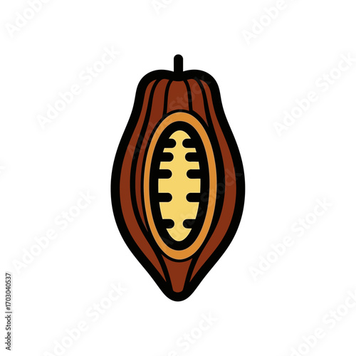Cocoa fruit shows beans inside on white background
