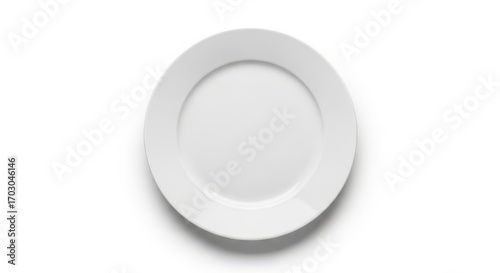 Minimalist representation of a plain white dinner plate set against a bright background