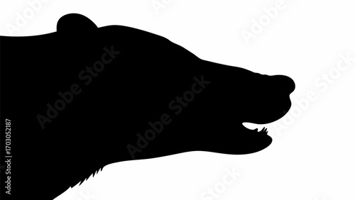 Silhouette of a bear head with open mouth showing teeth against a white background in side profile view