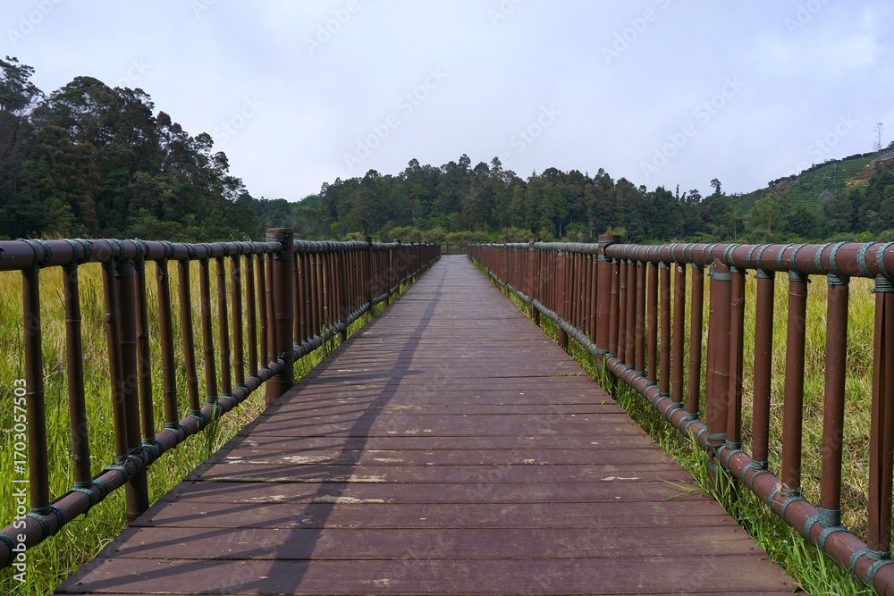 Fototapeta premium Wooden bridge pathway in Dieng nature landscape for travel and tourism photography 
