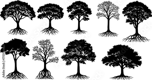 Silhouette vector of tree and root with black white color
