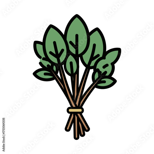 Fresh spinach bunch tied rests on white background