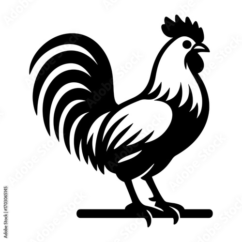 Rooster Perched