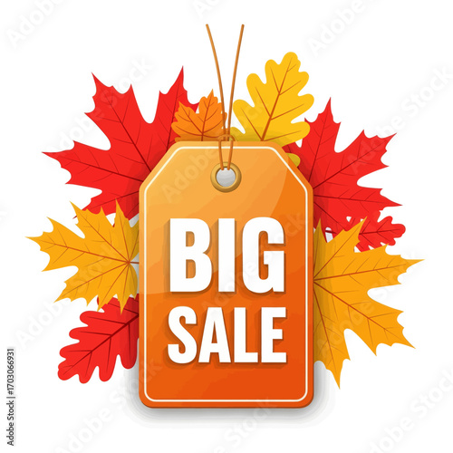 A bright orange sale tag with the words "BIG SALE" in white text, surrounded by colorful autumn leaves in red, orange, and yellow.