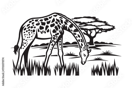 Giraffe Eating Grass Under Tree on White Background Isolated