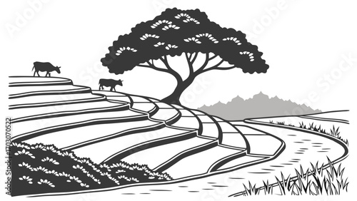 Monochrome illustration of terraced rice fields with a tree and cows, mountains in the background.