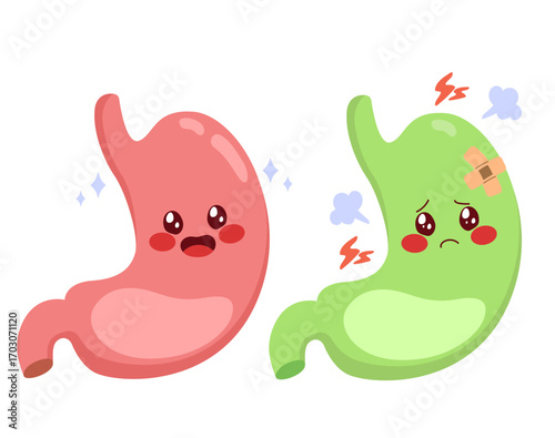 Cartoon illustration of a happy healthy stomach and a sad ill stomach, representing digestive health, illness and medical concepts