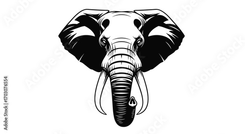 An epic majestic elephant head illustration with large tusk and big ears for an amazing wildlife design
