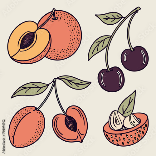 Hand drawn illustration of various fruits