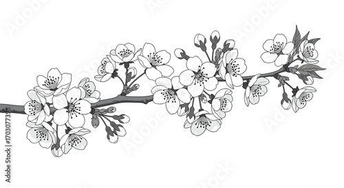 Delicate blossoms on a branch a beautiful representation of spring's gentle awakening
