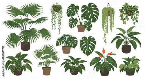 A collection of various potted greenery and hanging houseplants beautifully illustrated