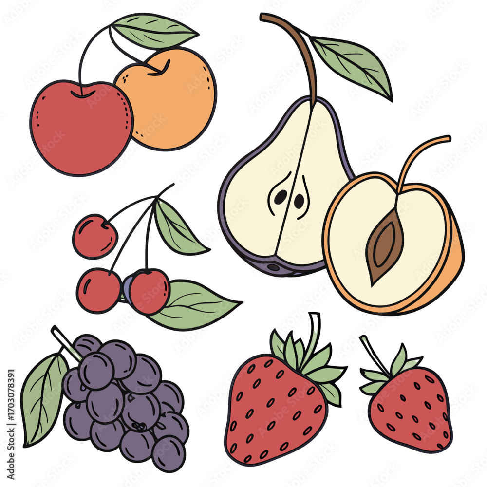 Obraz premium Fruit illustration vector drawing art