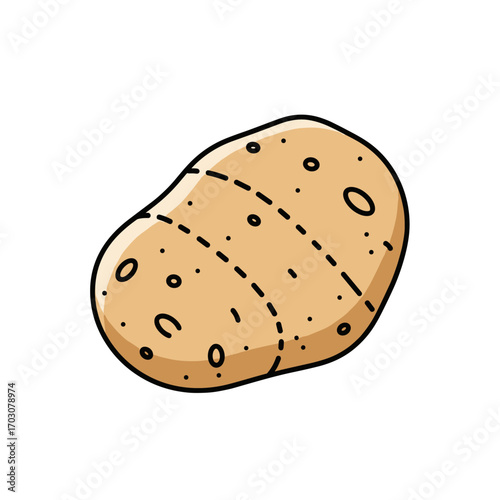 A single potato with dashed lines indicating cuts.