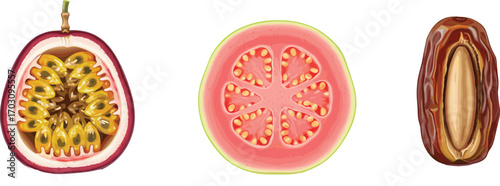 Detailed illustrations of tropical fruits: passion fruit, guava slice, and date fruit, vibrant healthy exotic fruit art, natural juicy snack designs