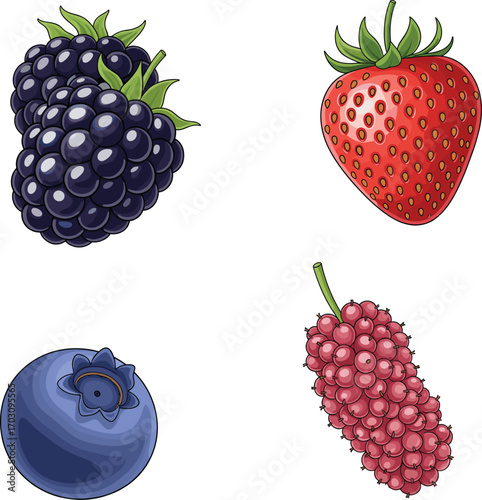 Fresh assorted berries including blackberry, strawberry, blueberry, and raspberry, healthy organic fruits, colorful natural food, summer berry collection