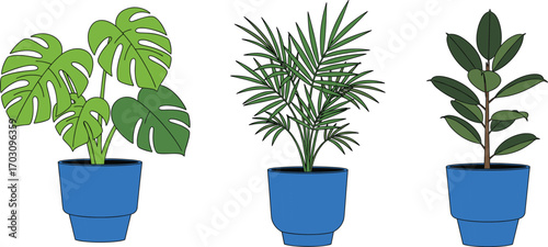 Colorful vector illustration of three potted houseplants with green foliage, tropical leaves, modern blue pots, indoor gardening, nature decor, plant care, botanical art