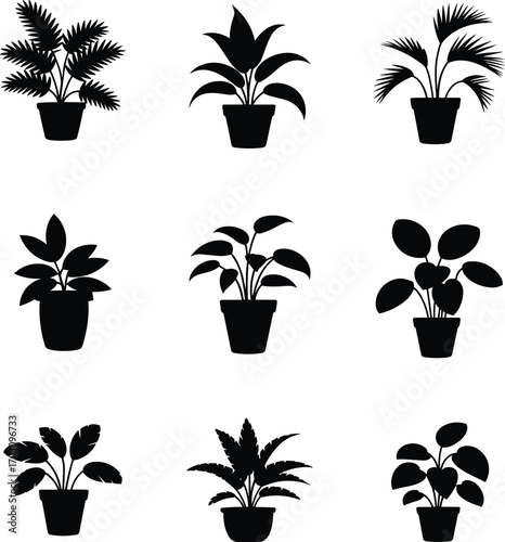 Black potted plant silhouettes, indoor houseplants vector icons, botanical designs, nature symbols, minimalist plant illustrations, decorative greenery, leaf shapes, plant vector art.