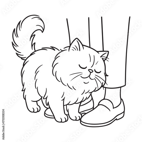 Line art of persian cat nuzzles against legs cartoon vector