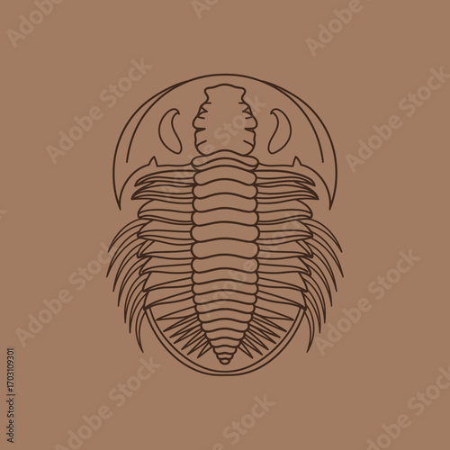 Minimalist vector icon of an ancient trilobite fossil. Simple line art drawing representing paleontology, evolution, and prehistoric marine life