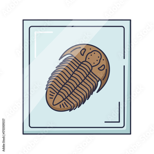 Illustration of a trilobite fossil encased in a square, transparent display case.