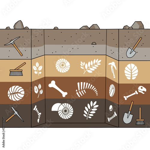 Illustration of a soil profile showing different layers containing fossils, tools, and rocks, representing archeological excavation.