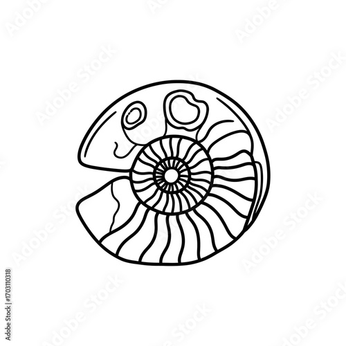 Detailed line drawing of a prehistoric ammonite fossil.