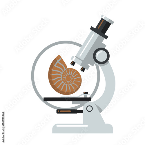 An illustration of a microscope examining a nautilus shell, highlighting scientific research and paleontology.