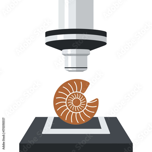 Scanning electron microscope examining a fossilized ammonite shell.