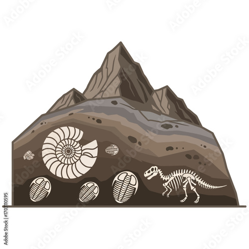 Illustration depicting a cross-section of earth revealing various fossils and a mountain.