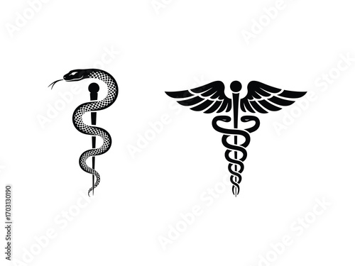 Caduceus medical symbol vector