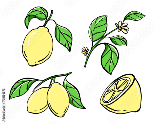 Lemon Pack Illustration Vector