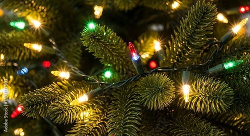 Christmas Lights on a Tree.
