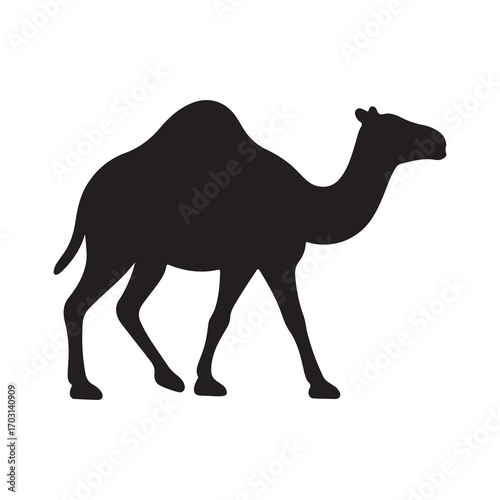 Silhouette Camel Walking Desert Animal Illustration