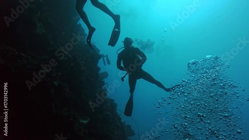 Wallpaper Mural Scuba diver's silhouette hovering near a coral reef wall, framed by the bright turquoise water Torontodigital.ca