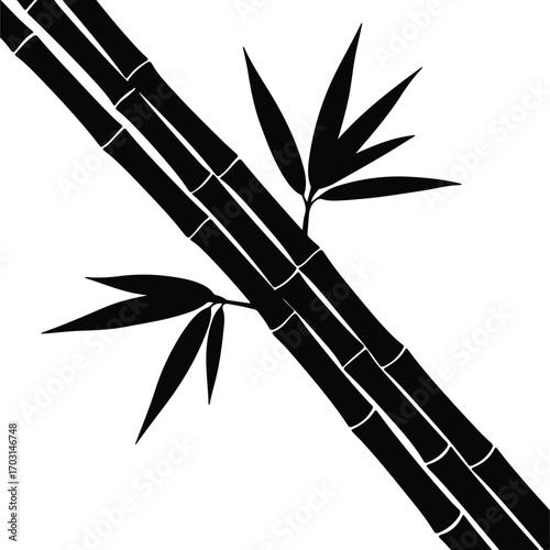 Vector Bamboo stalks with leaves black and white silhouette illustrator