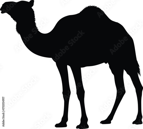 Silhouette camel standing desert animal wildlife silhouette icon vector graphic vector