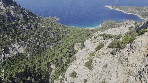 Oceanic pine landscape.Cliffside forest coastline Coastal rocky