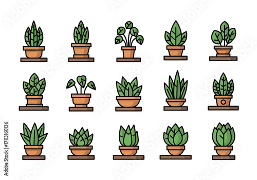 Fifteen potted green plants with varied leaf types, perfect for botanical concepts, gardening publications, and lifestyle blog posts.