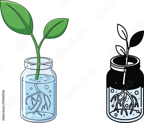 Illustration of plant growing in glass jar, on a transparent background