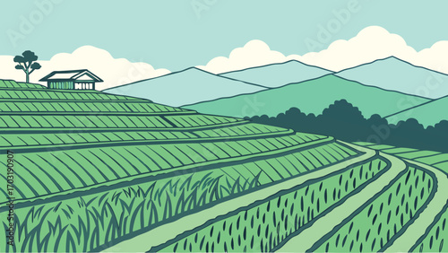 Lush green tea plantation terraces with a small traditional house.